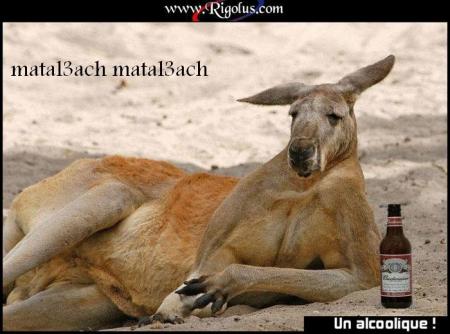 a chrb m3a rask